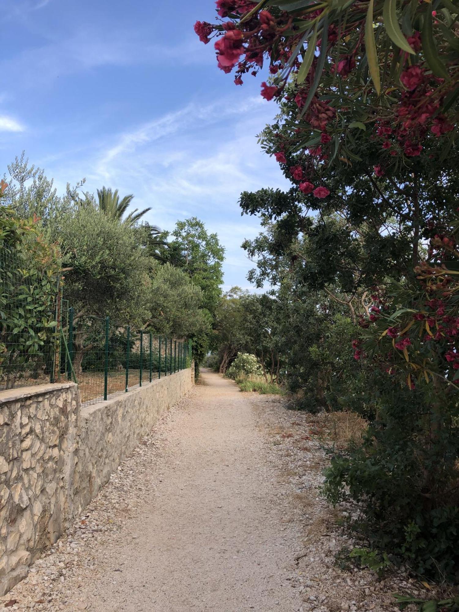 טרוגיר Apartmani Ema מראה חיצוני תמונה